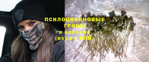 ECSTASY Алексин