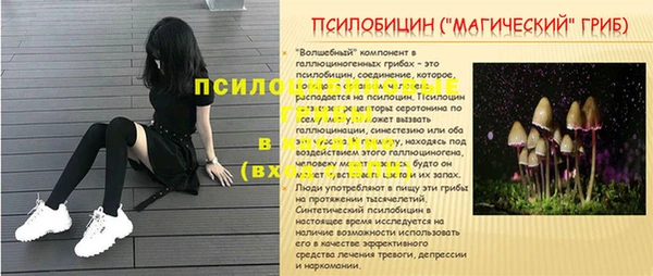 скорость Алзамай