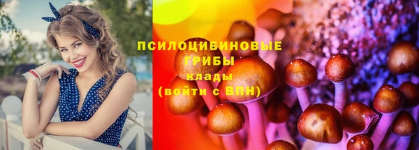 винт Арсеньев